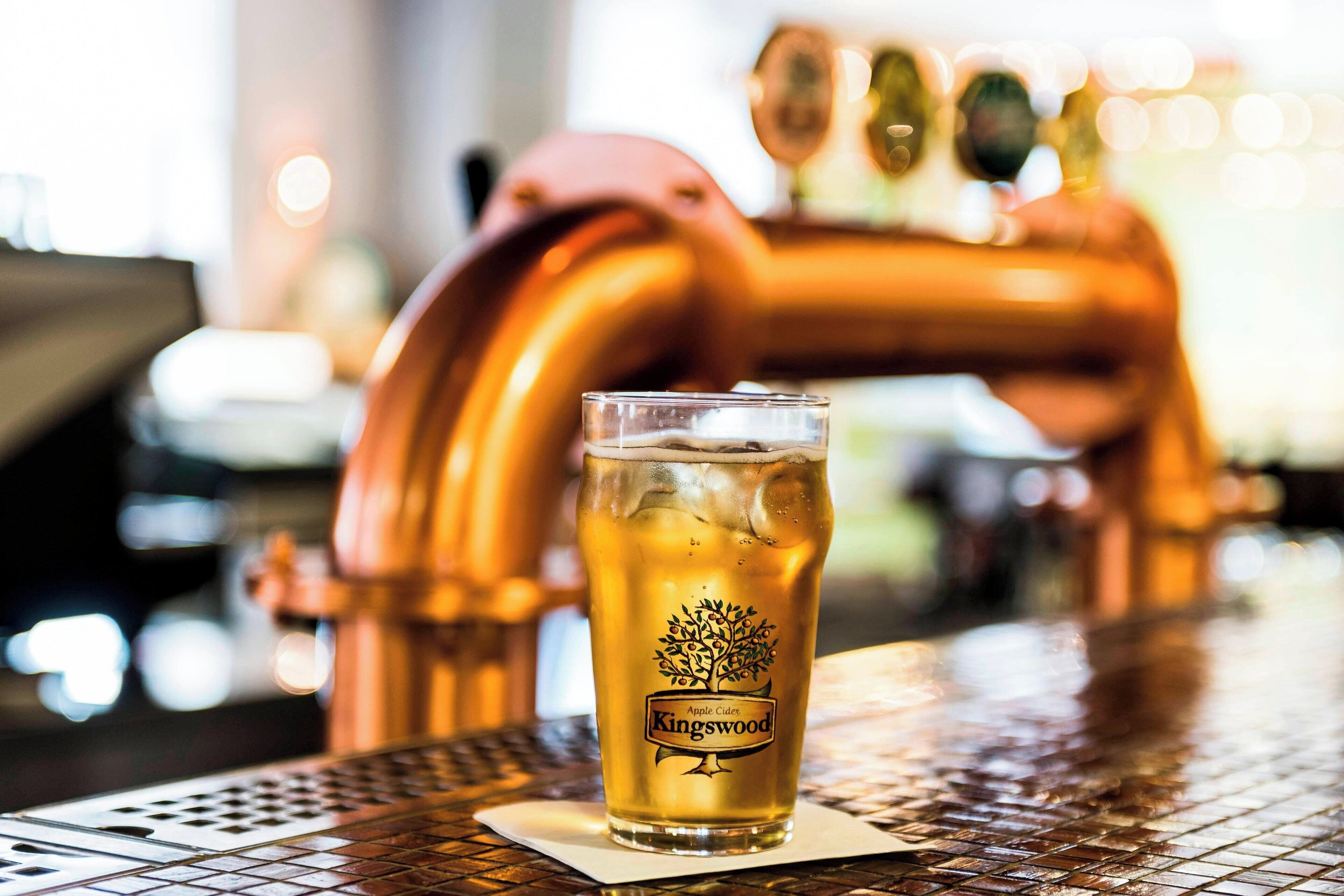A glass of beer with a tree logo on a coaster, placed on a table with a metal grid pattern.