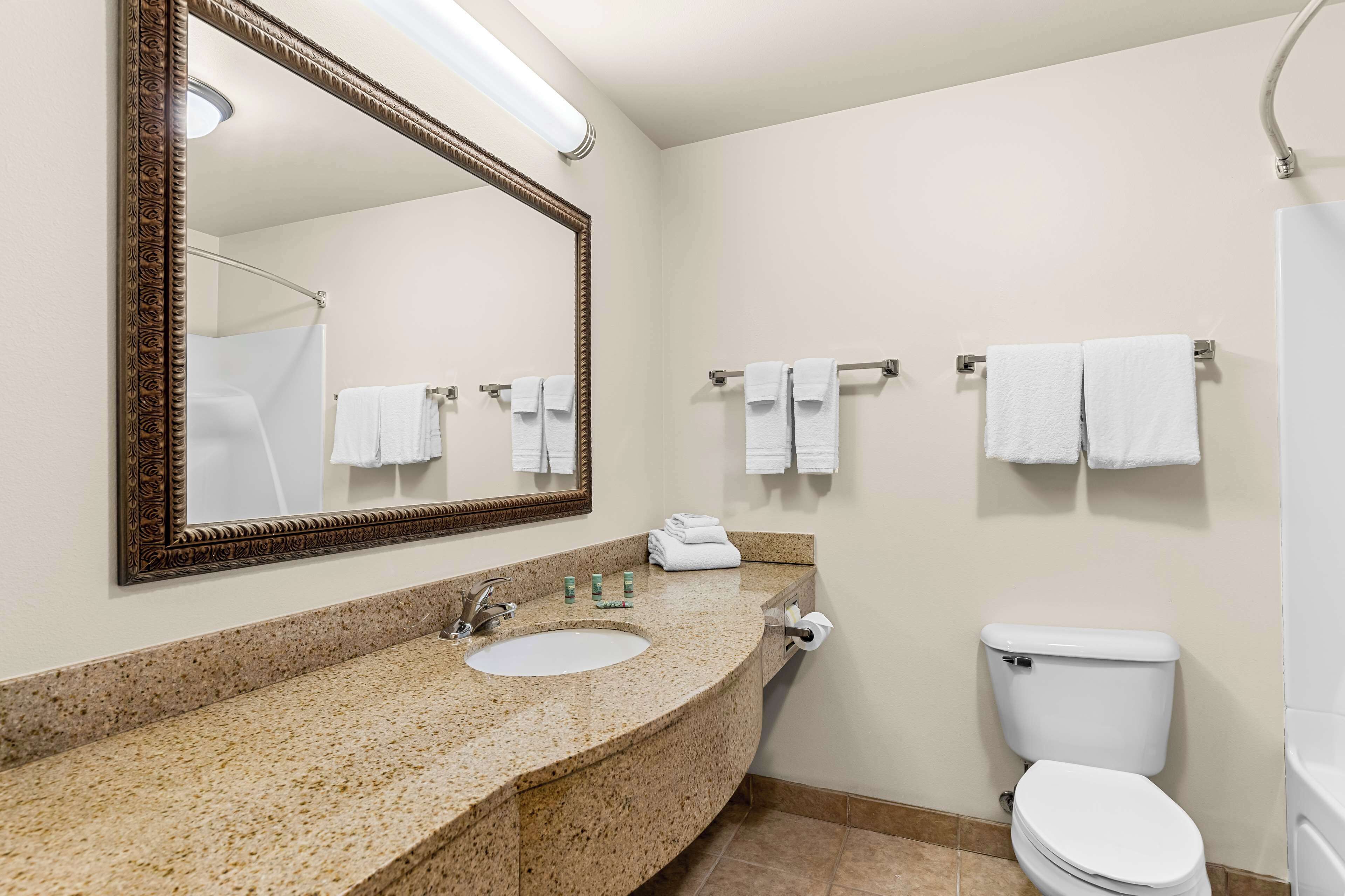 combined shower/bathtub, free toiletries, hair dryer, towels