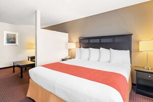 Suite, 1 King Bed, Non Smoking, Microwave (with Sofabed) | Pillowtop beds, in-room safe, desk, iron/ironing board