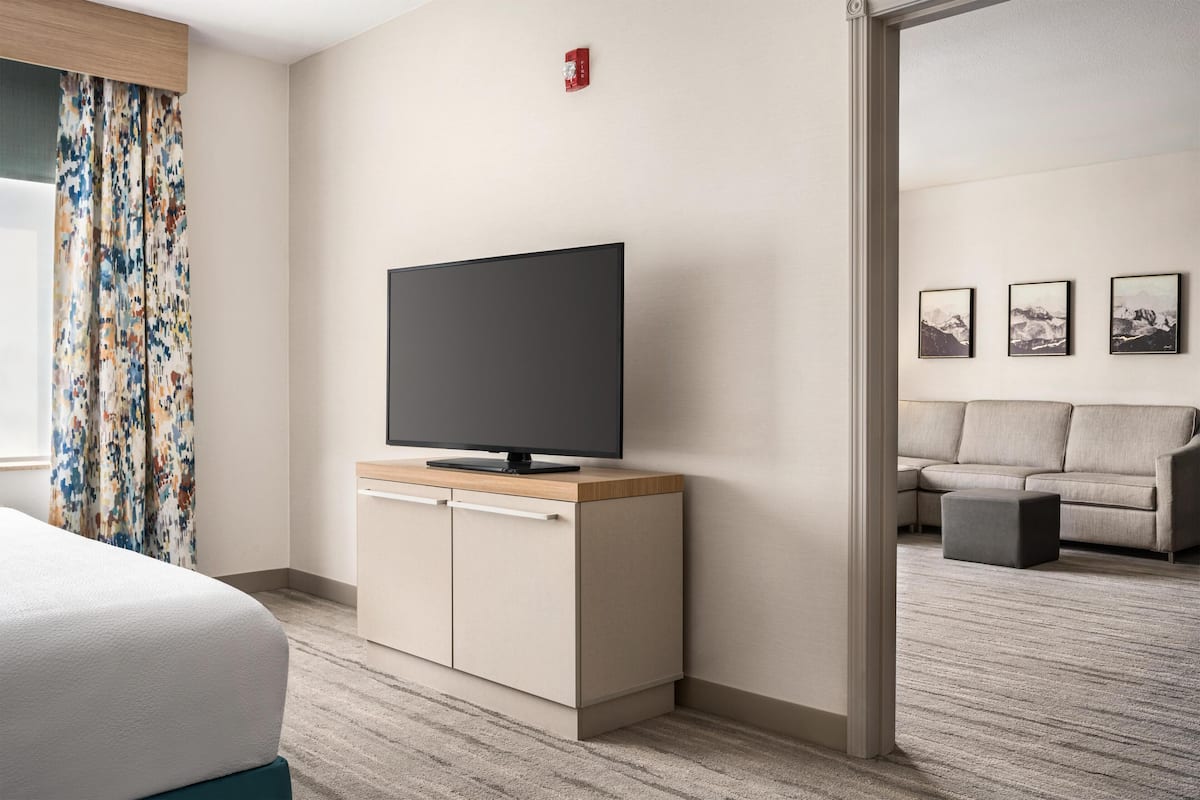 Suite, 1 King Bed, Accessible (Roll-In Shower) | View from room