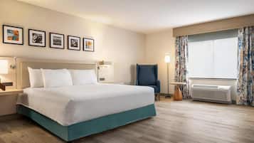 Habitación estándar, 1 cama King size, con acceso para personas discapacitadas (Roll-In Shower) | Vista desde la habitación