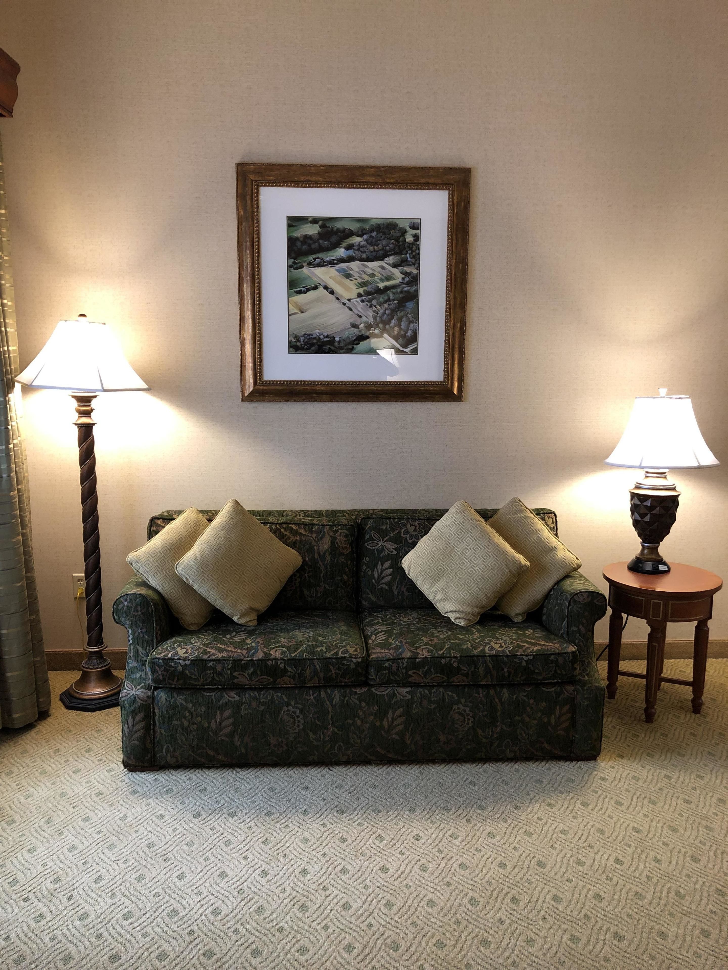 A living room with a dark green patterned sofa, two lamps, and a framed picture on the wall.