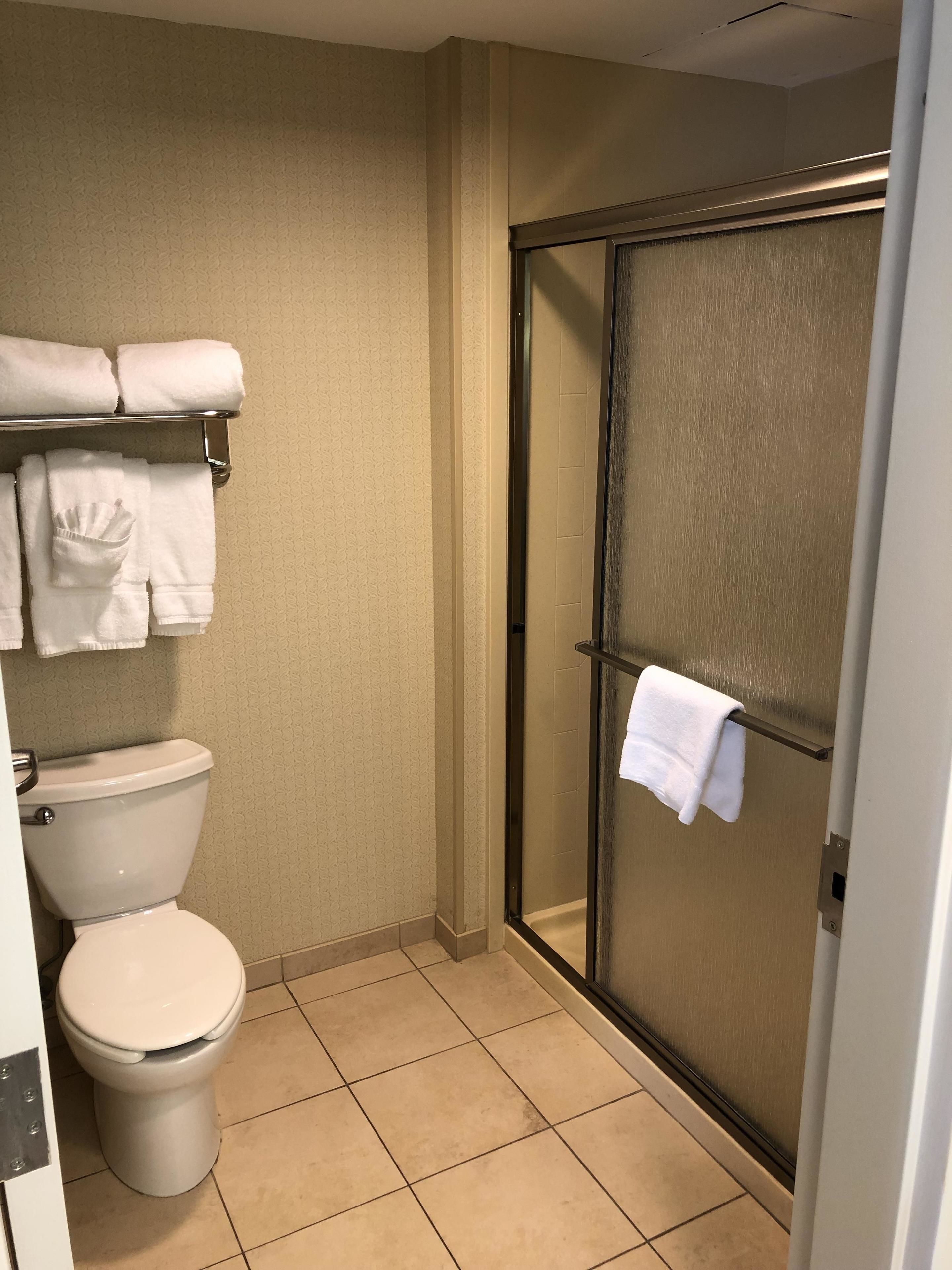 Un baño pequeño con inodoro, toallero con toallas dobladas y puerta de cristal para la ducha.