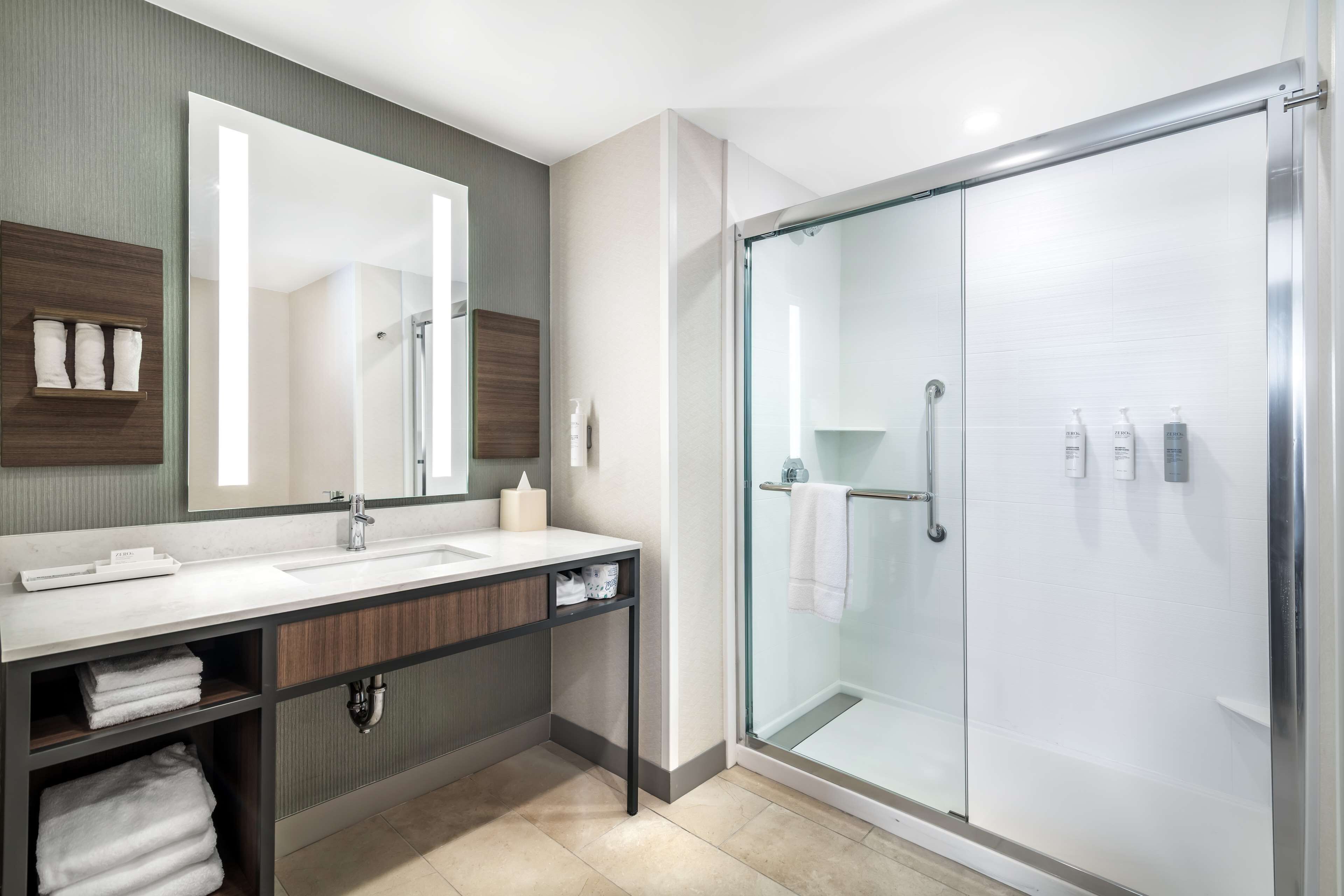 King evolution suite | Bathroom shower