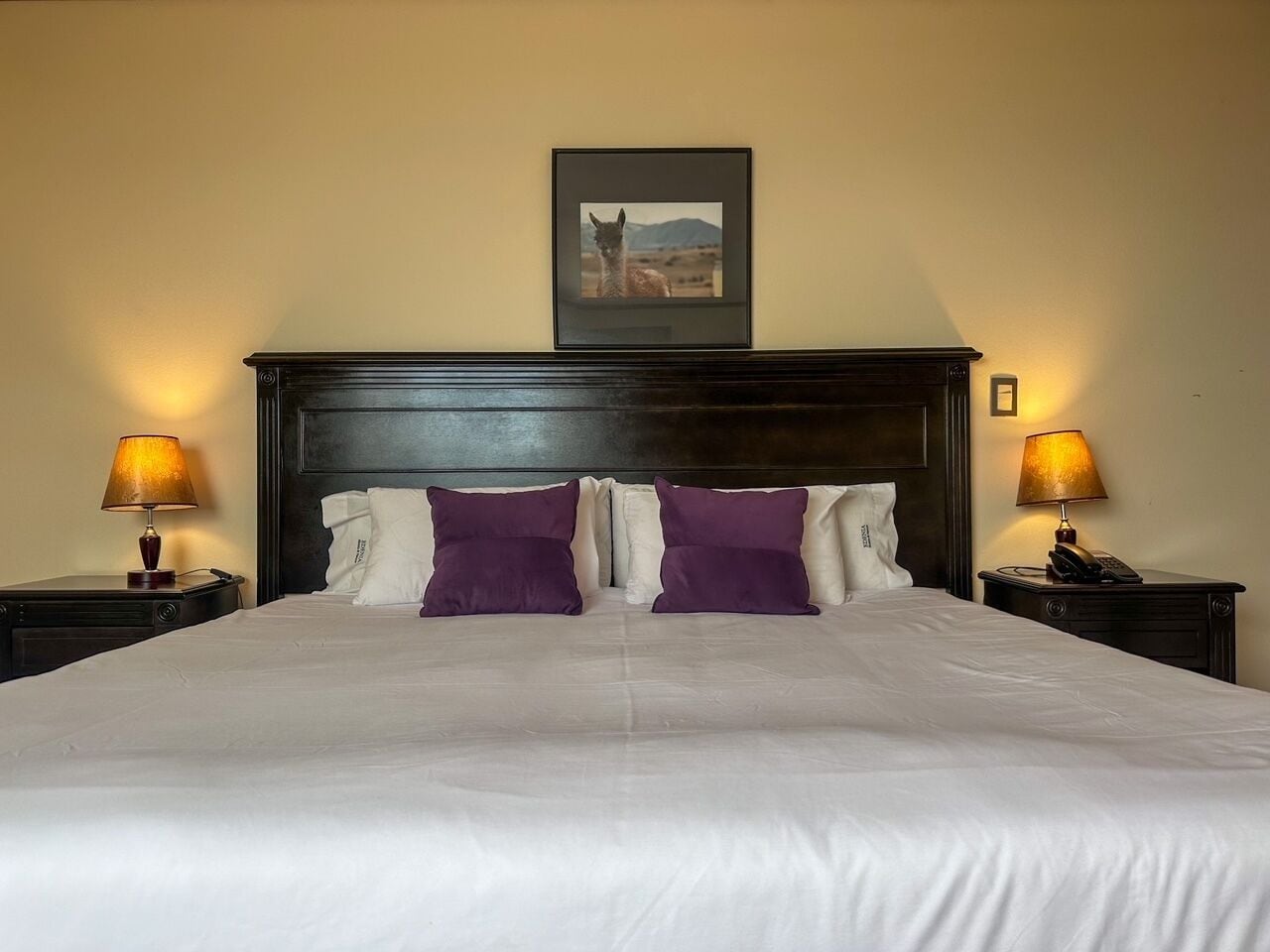 double room, bay view | 1 bedroom, premium bedding, down duvets, pillow-top beds