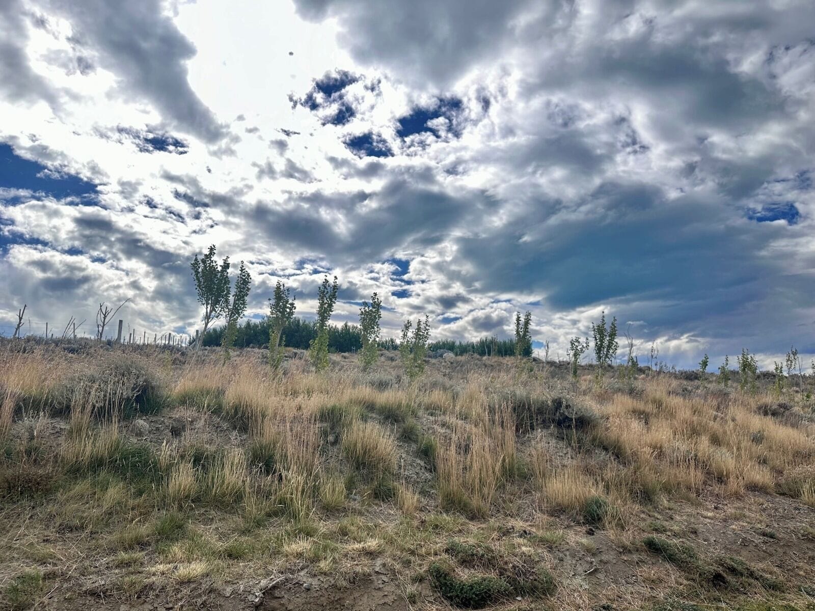 standard room | 1 bedroom, premium bedding, down duvets, pillow-top beds