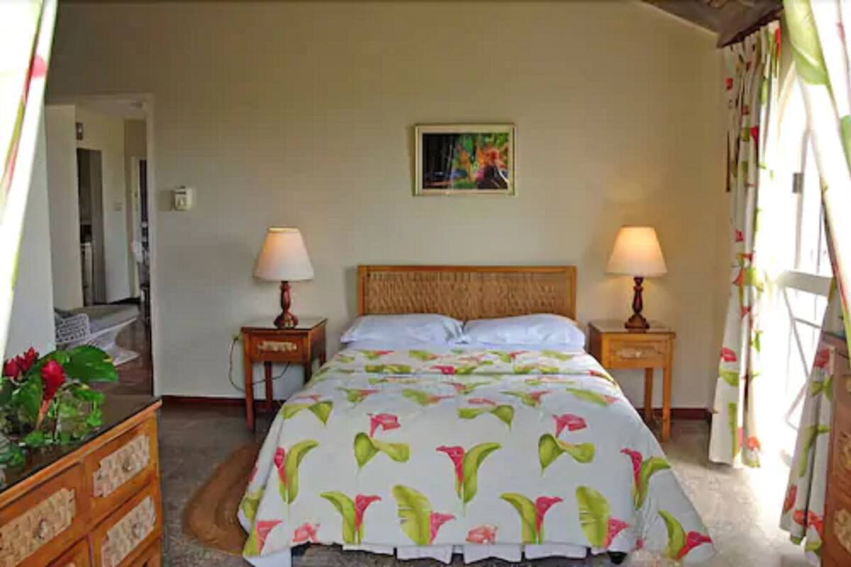 In-room safe, iron/ironing board, WiFi (free), individually furnished