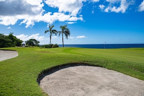 A golf course with a clear view of the ocean and palm trees.