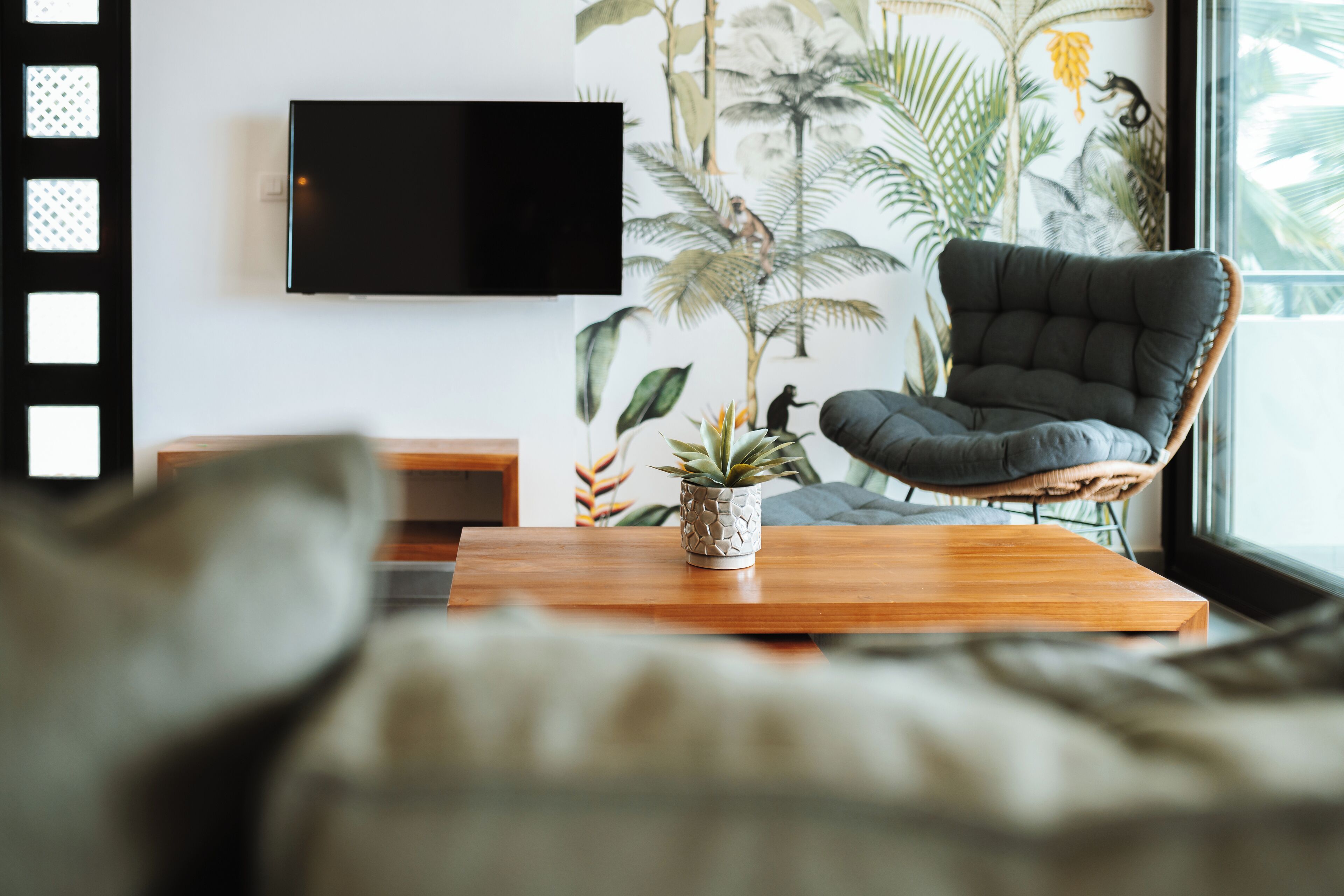 garden apartment 2 bedroom | living area | 43-inch smart tv with digital channels, netflix, streaming services