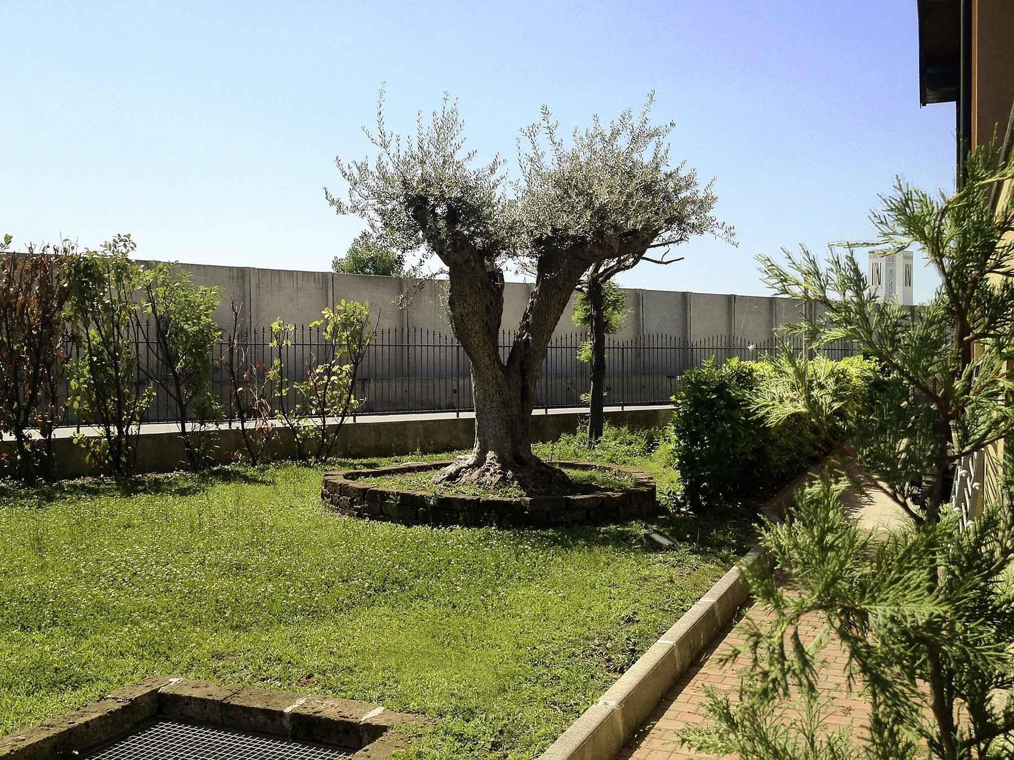 Un cortile con un albero, una recinzione e un edificio sullo sfondo.