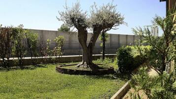 Un cortile con un albero, una recinzione e un edificio sullo sfondo.