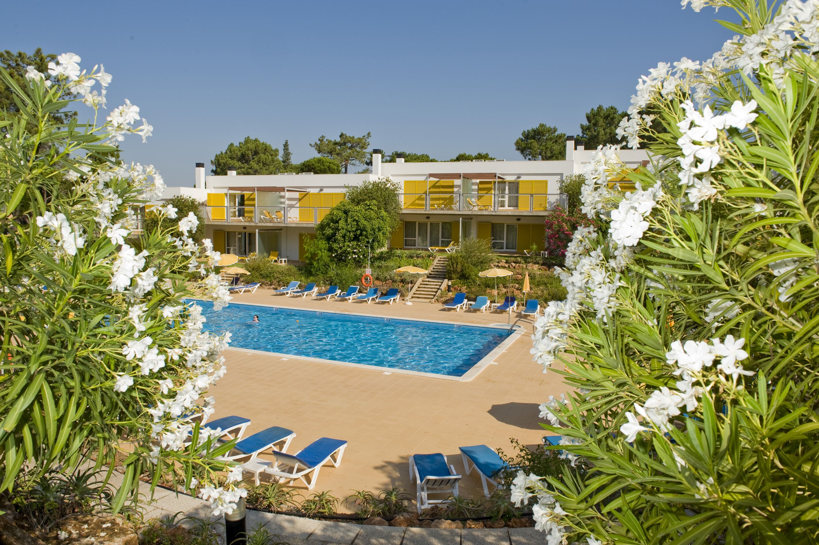 A pool area with sun loungers and a clear blue pool surrounded by white flowers and greenery.