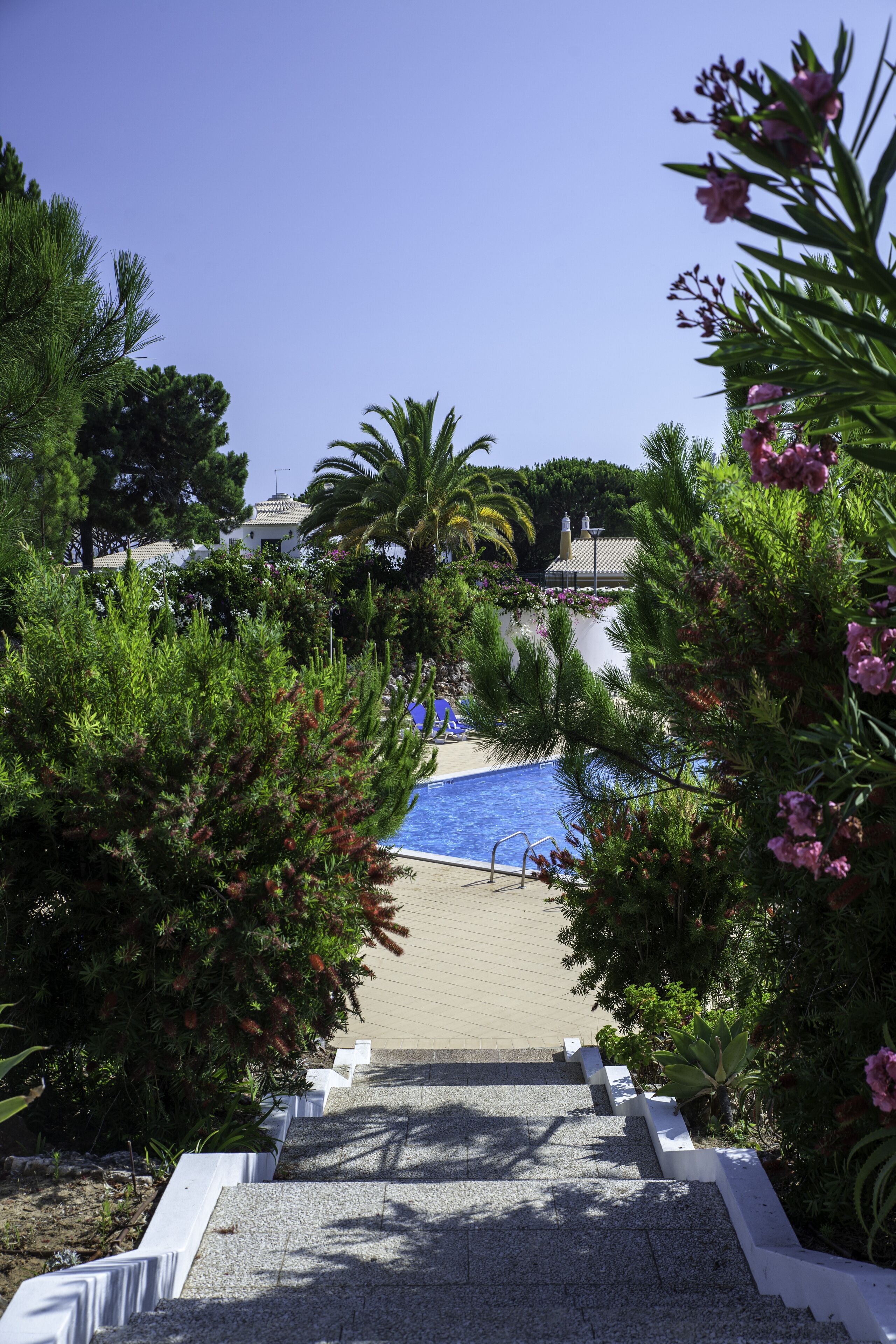 Un sentier qui mène à une piscine entourée d’une végétation luxuriante, sous un ciel bleu clair.
