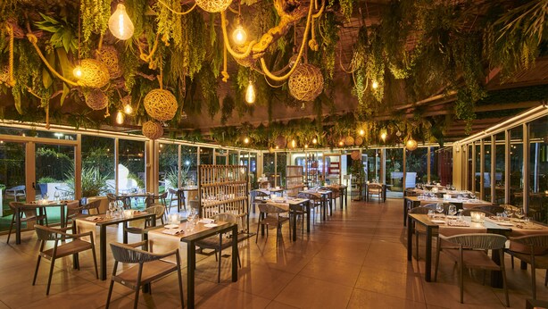 Un comedor interior con mesas dispuestas para comidas, luces colgantes y plantas.