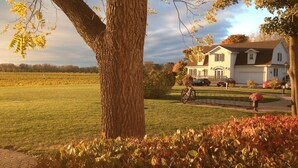 A large tree in the foreground with a house in the background.