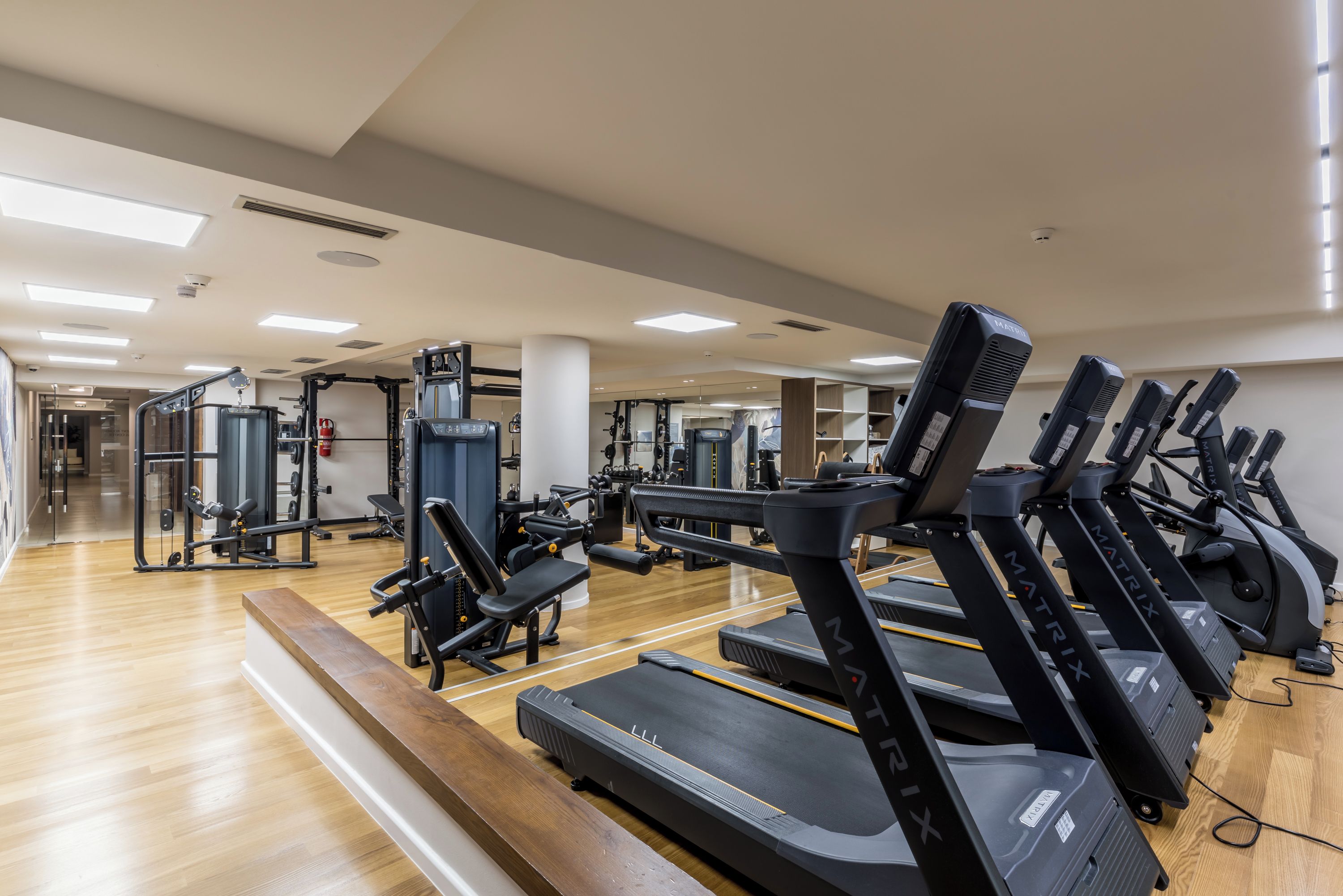A gym with treadmills, weight machines, and free weights.