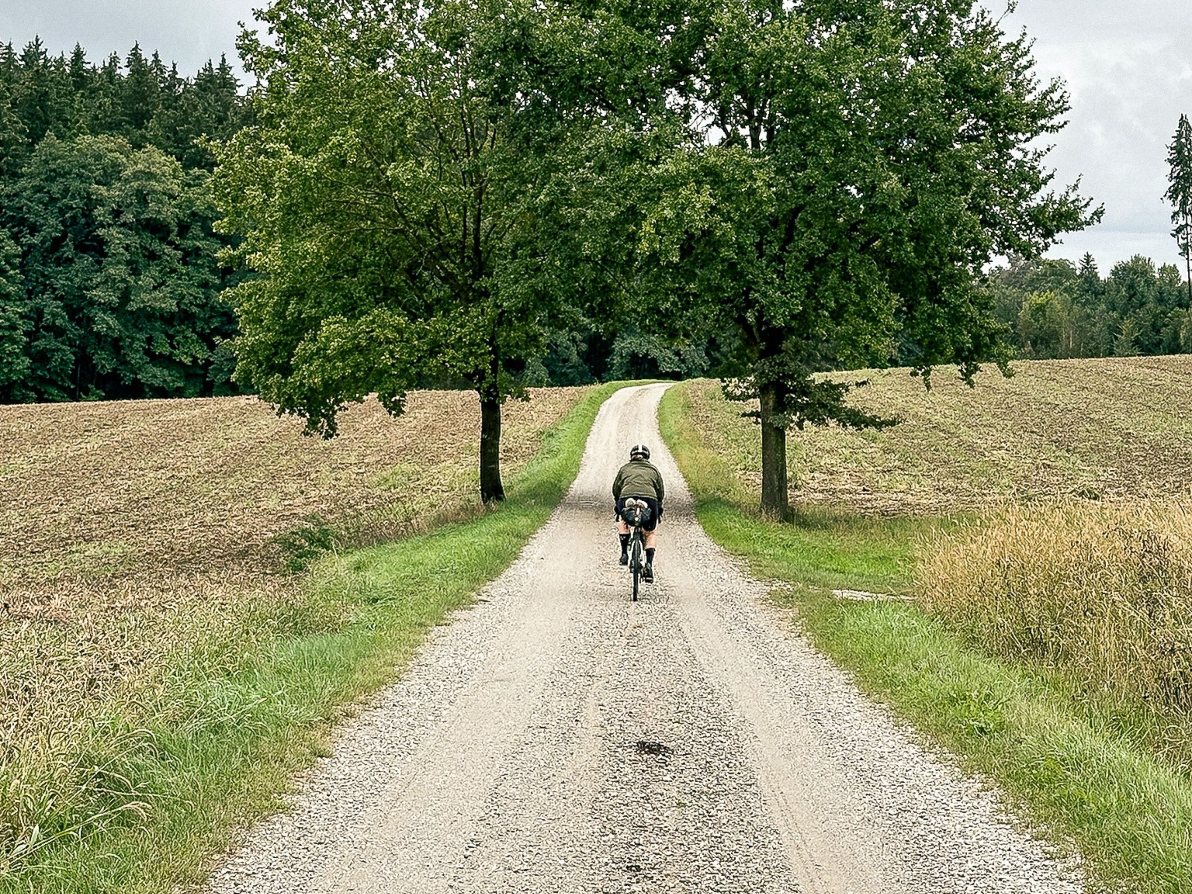 A gravel path flanked by trees in a rural setting.
