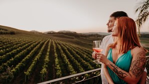 A couple standing on a balcony overlooking a vineyard. - Spa do Vinho Hotel & Condomínio Vitivinícola (Bento Gonçalves)