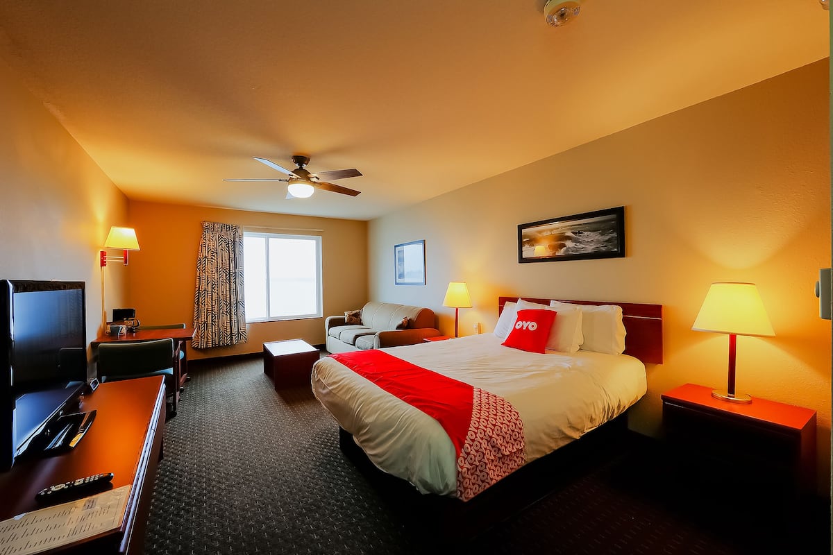 A hotel room with a bed, a desk with a computer, a TV, a ceiling fan, and a window with curtains.