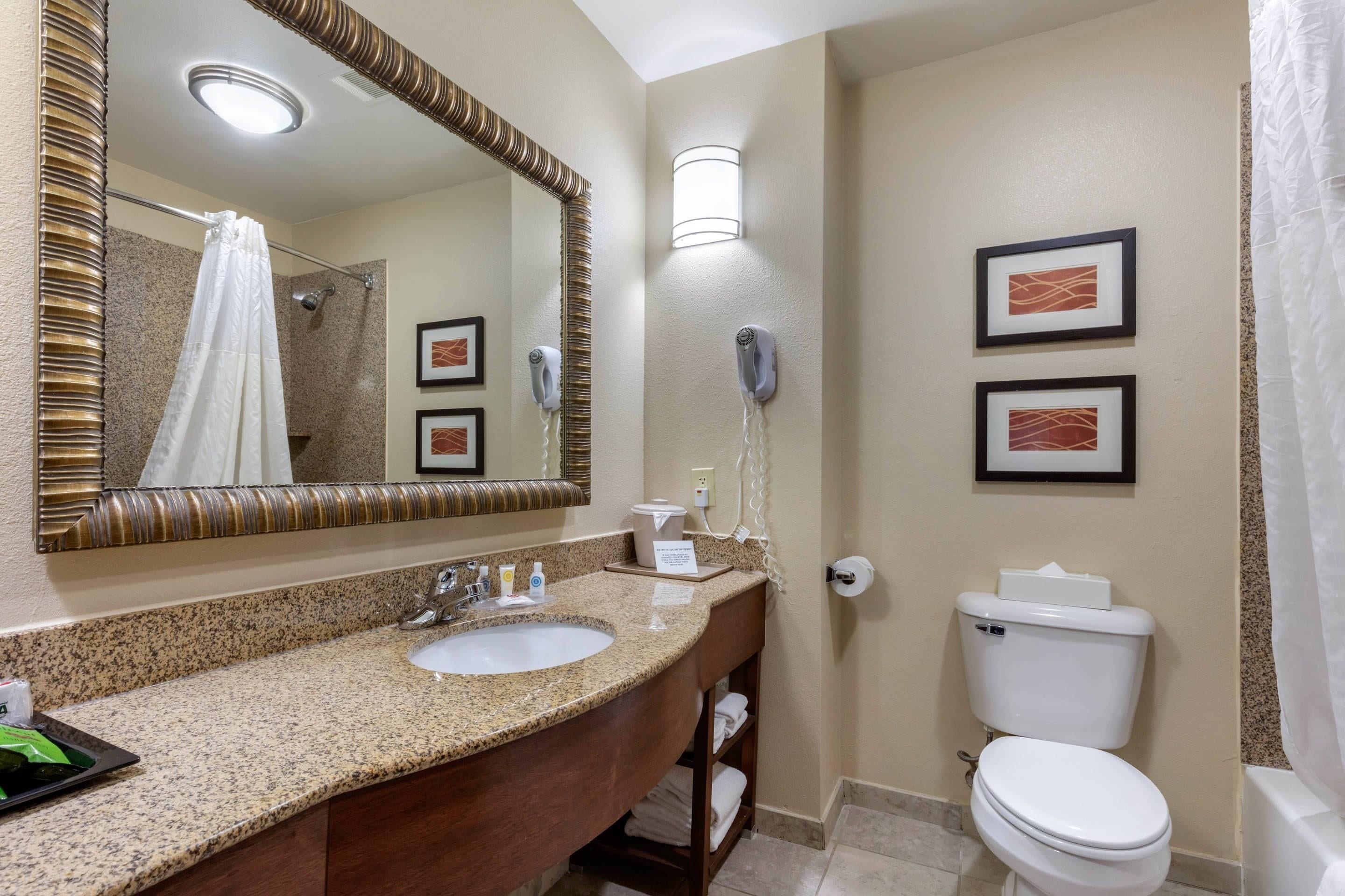 A bathroom with a granite countertop sink, a large mirror, a toilet, and two framed pictures on the wall.