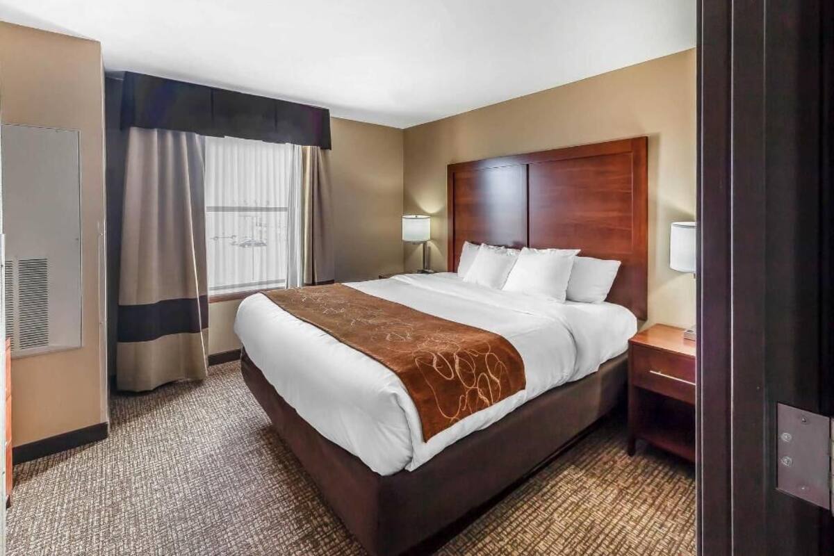 A hotel room with a large bed, a nightstand, a lamp, a window with curtains, and a door.