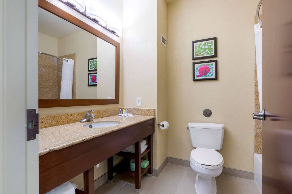 Ein Badezimmer mit Waschbecken, Spiegel, Toilette und zwei gerahmten Bildern an der Wand.