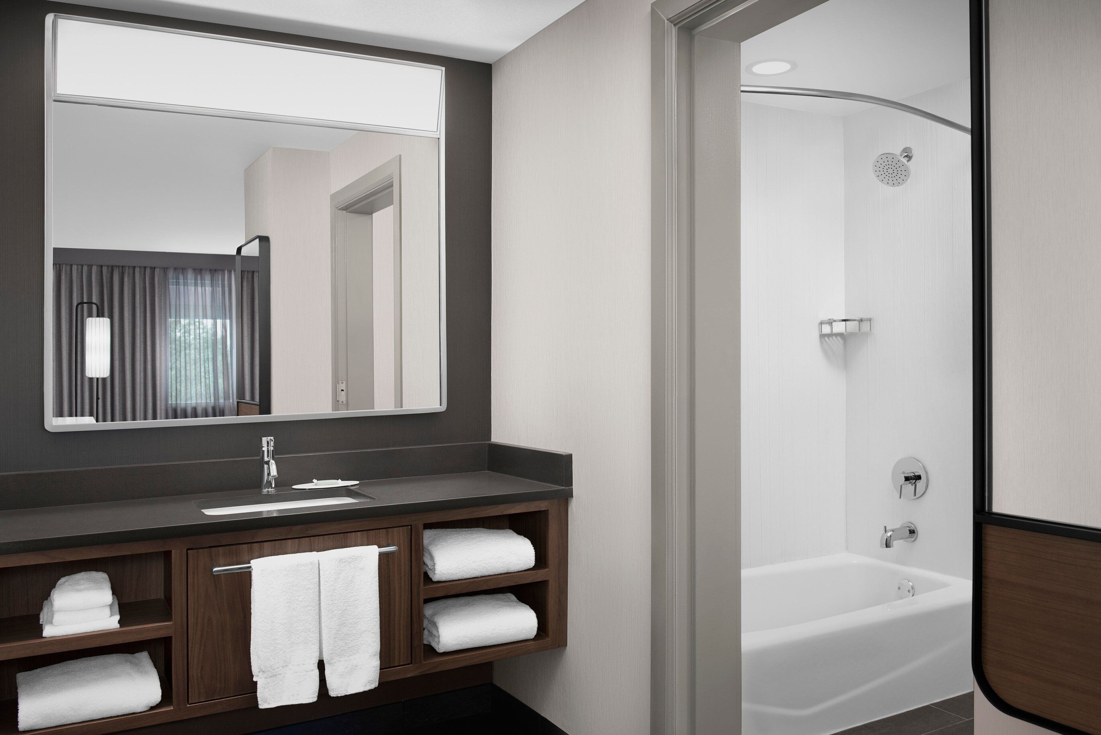 suite, 1 king bed with sofa bed | bathroom | designer toiletries, hair dryer, towels