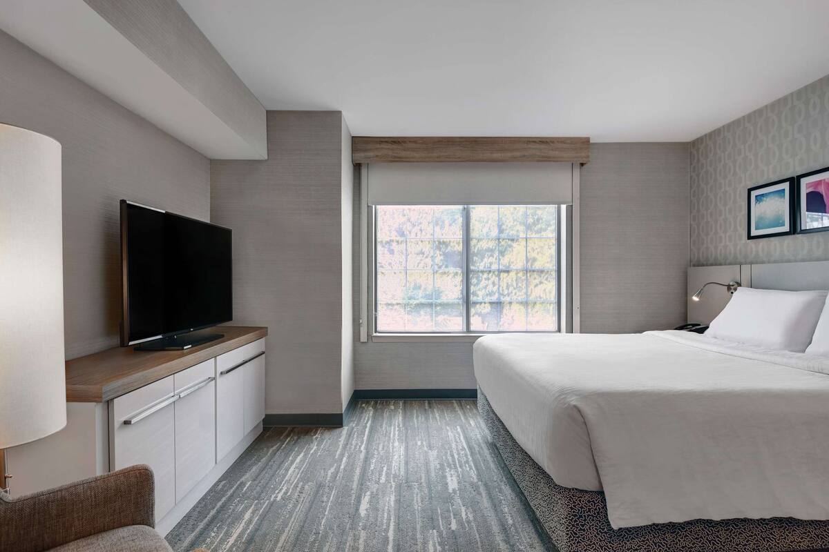 A modern hotel room with a large bed, a flat-screen TV on a wooden console, a window with a view of greenery, and a patterned rug.