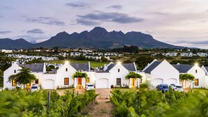 A vineyard with white buildings and a mountain in the background.
