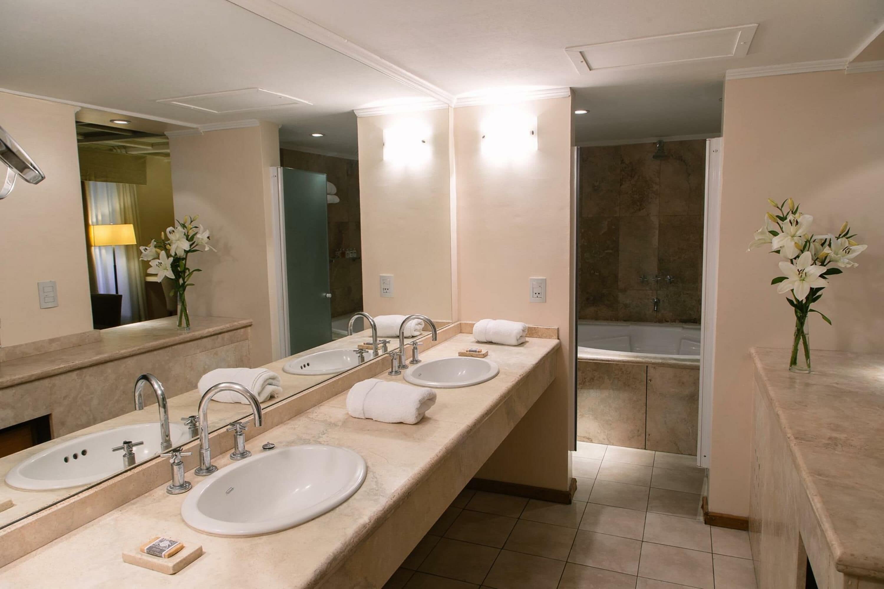 shower, rainfall showerhead, hair dryer, bidet