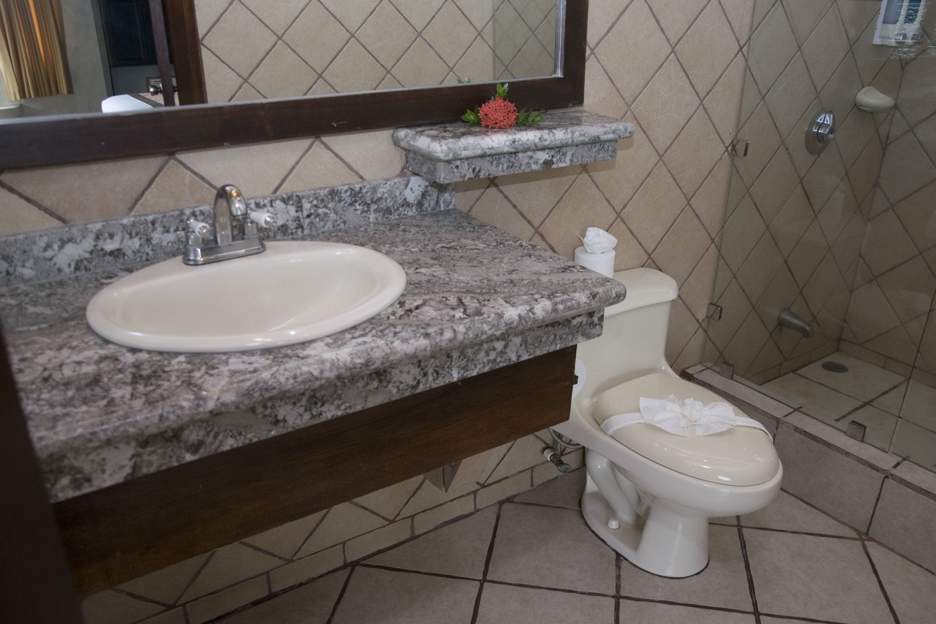 deluxe room | bathroom | shower, free toiletries, hair dryer, towels