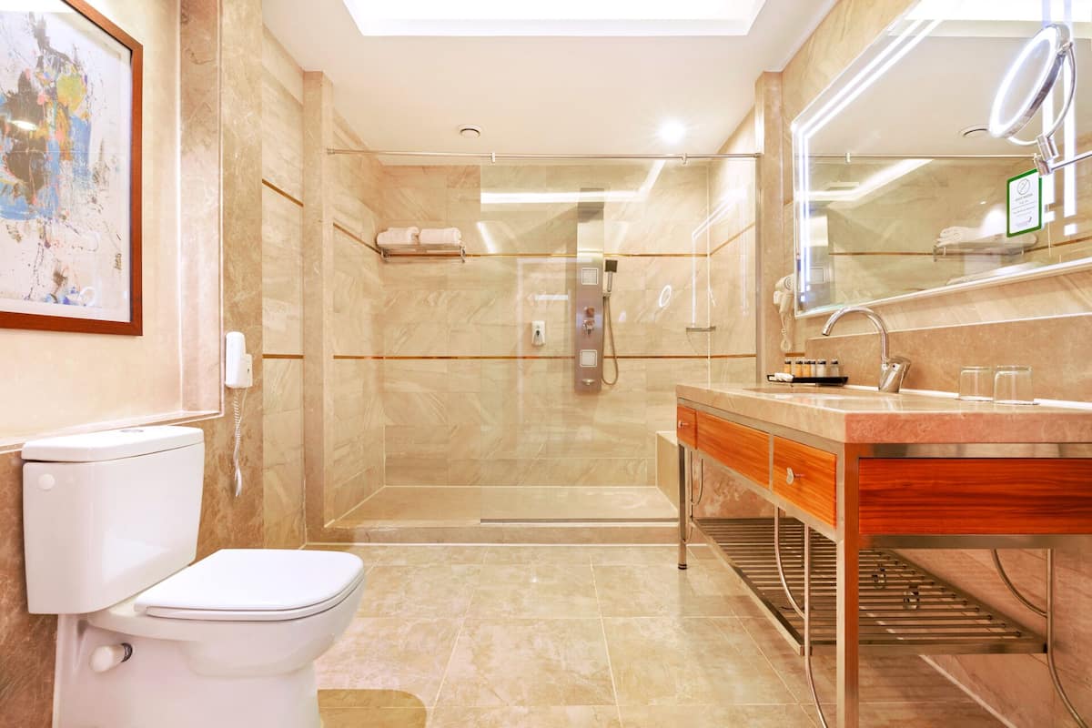 shower, free toiletries, hair dryer, slippers