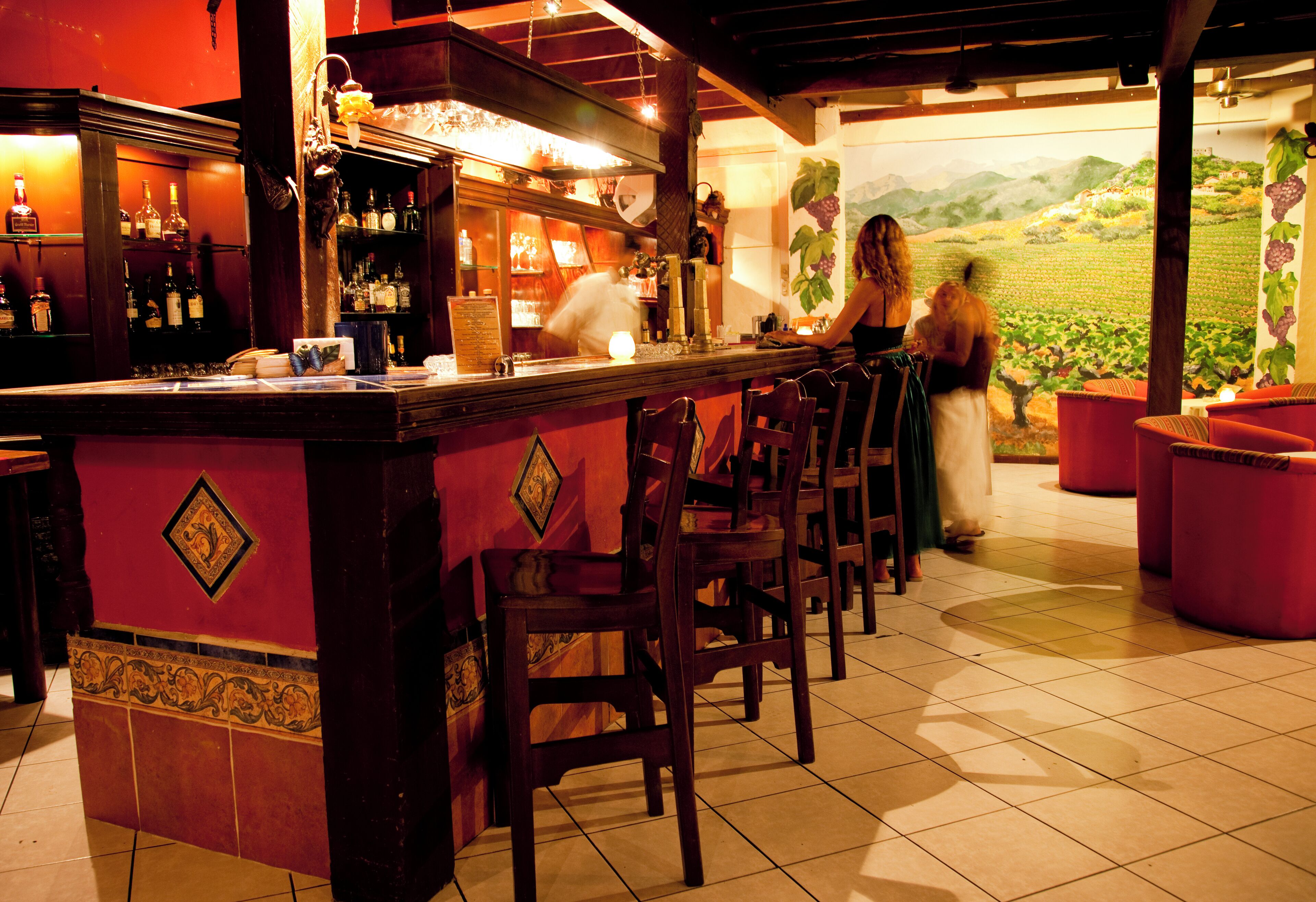 A bar area with a counter, chairs, and a mural of a vineyard.