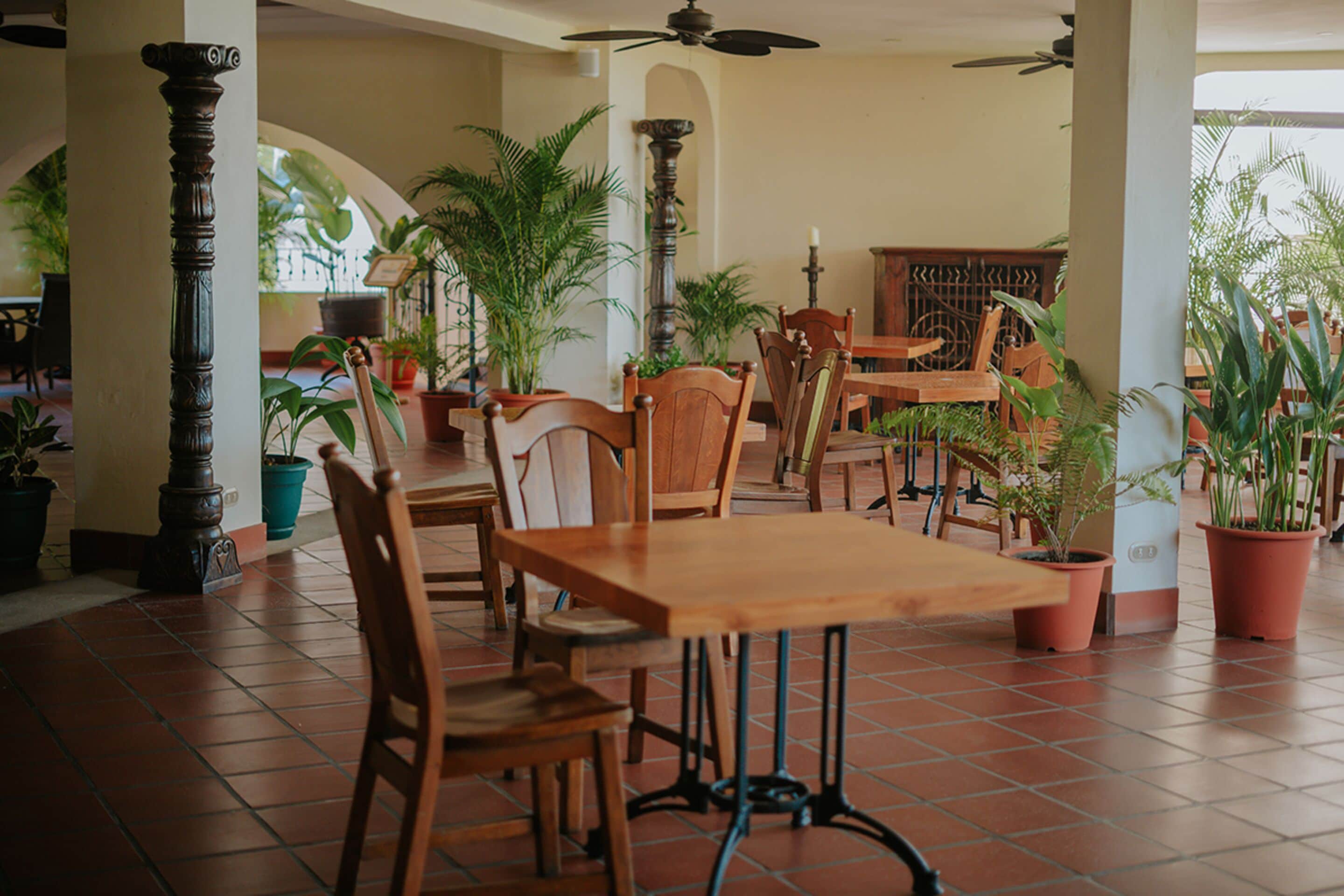 A spacious indoor dining area with wooden tables and chairs, surrounded by potted plants.