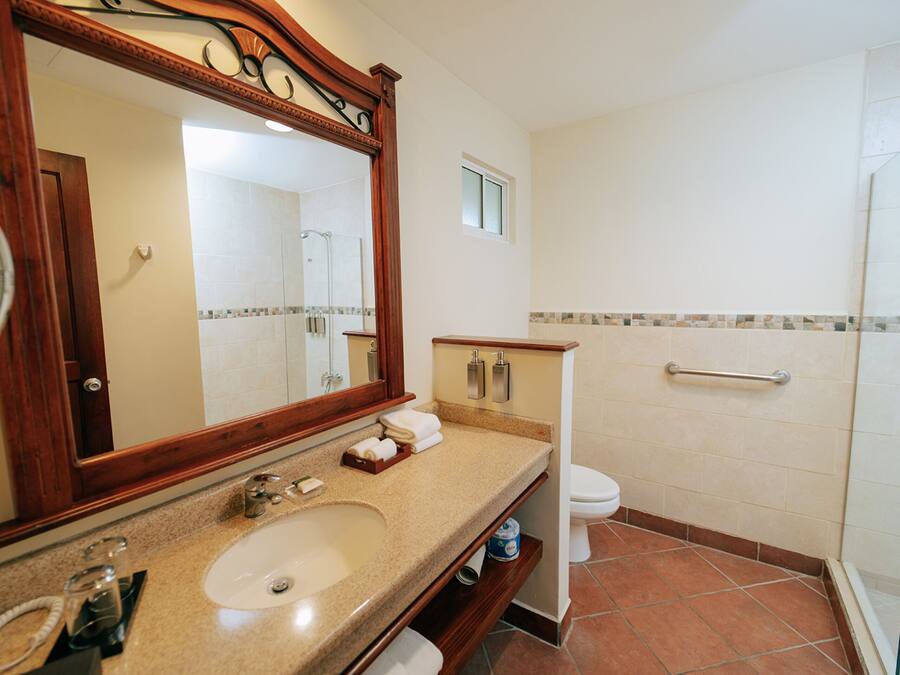Un baño con lavamanos, espejo, inodoro y ducha.