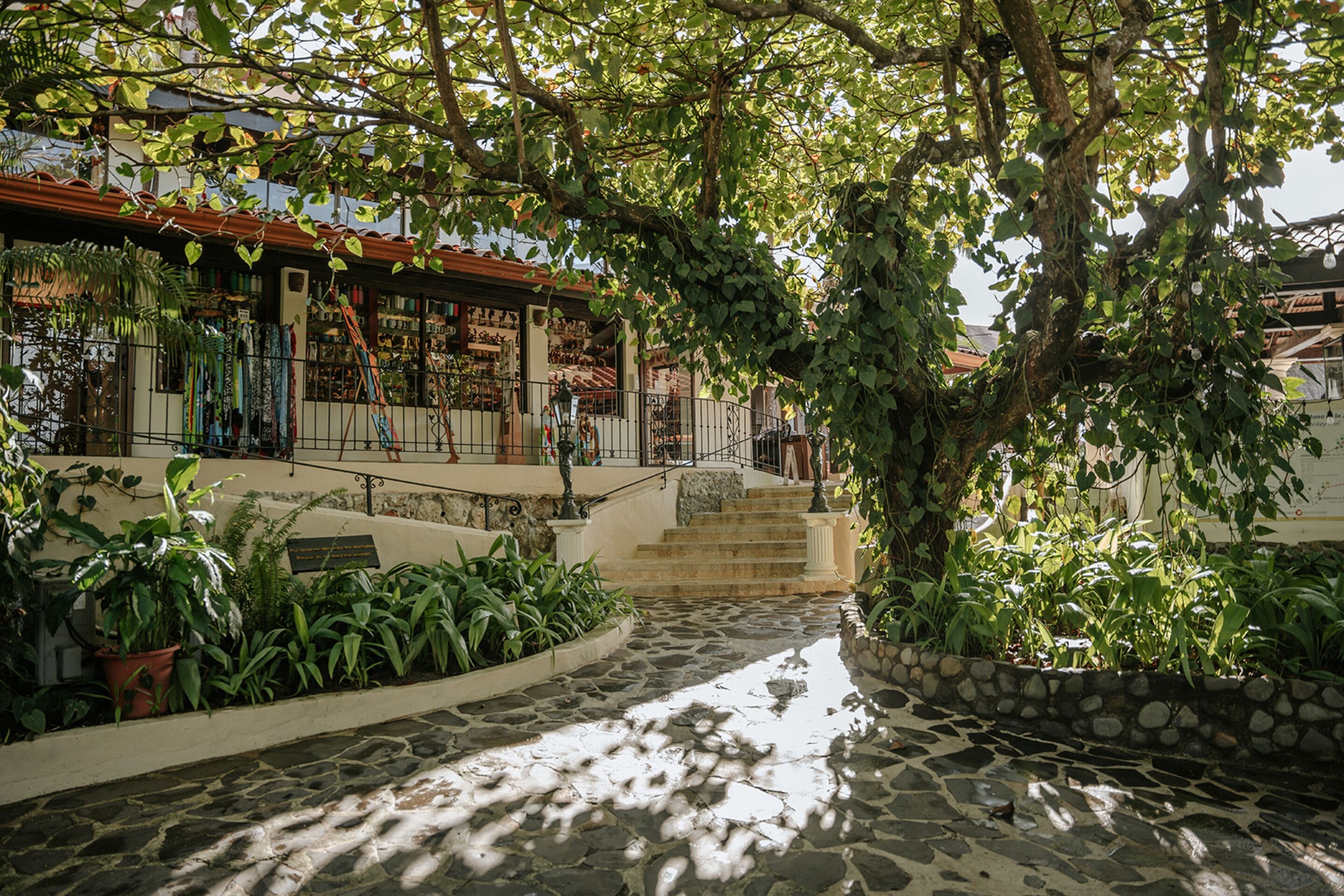 Jardin