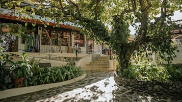 Jardin
