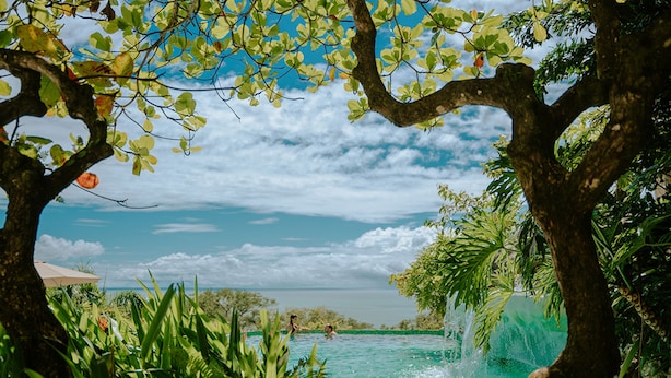 A pool surrounded by lush greenery and a clear sky.