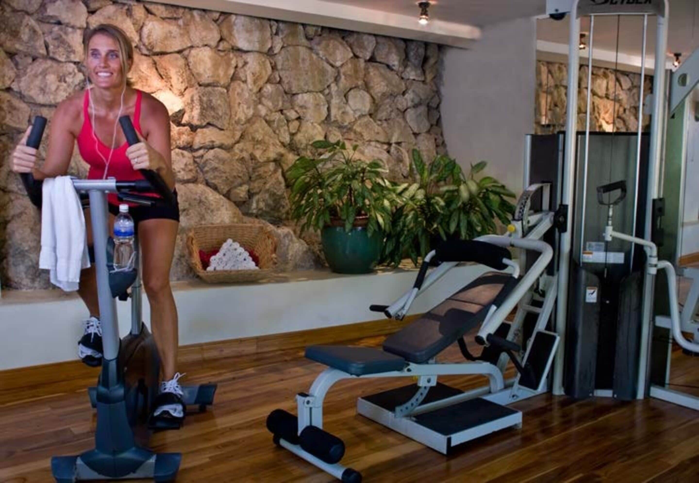 A home gym with exercise equipment, a stone wall, and a potted plant.