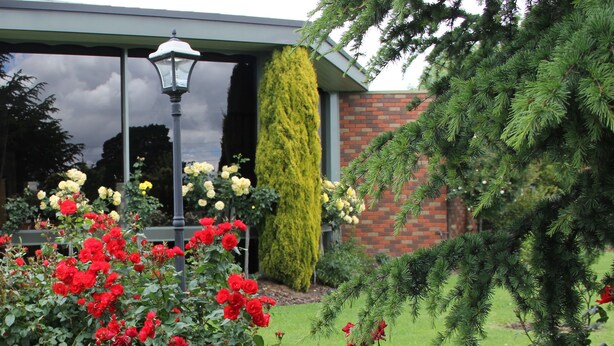 A conservatory with a glass roof, surrounded by a variety of plants and flowers, including red roses and yellow roses. - Cedar Lodge Motel Morwell (Morwell)
