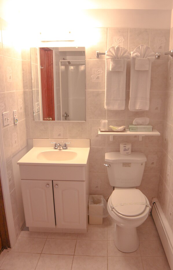 Un baño con lavamanos, espejo, inodoro y toallero.