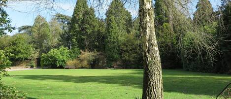 Un espace vert avec de l’herbe, des arbres et un banc.