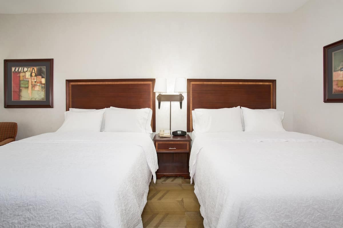 Two queen beds non smoking | Iron/ironing board, free rollaway beds, free WiFi, bed sheets