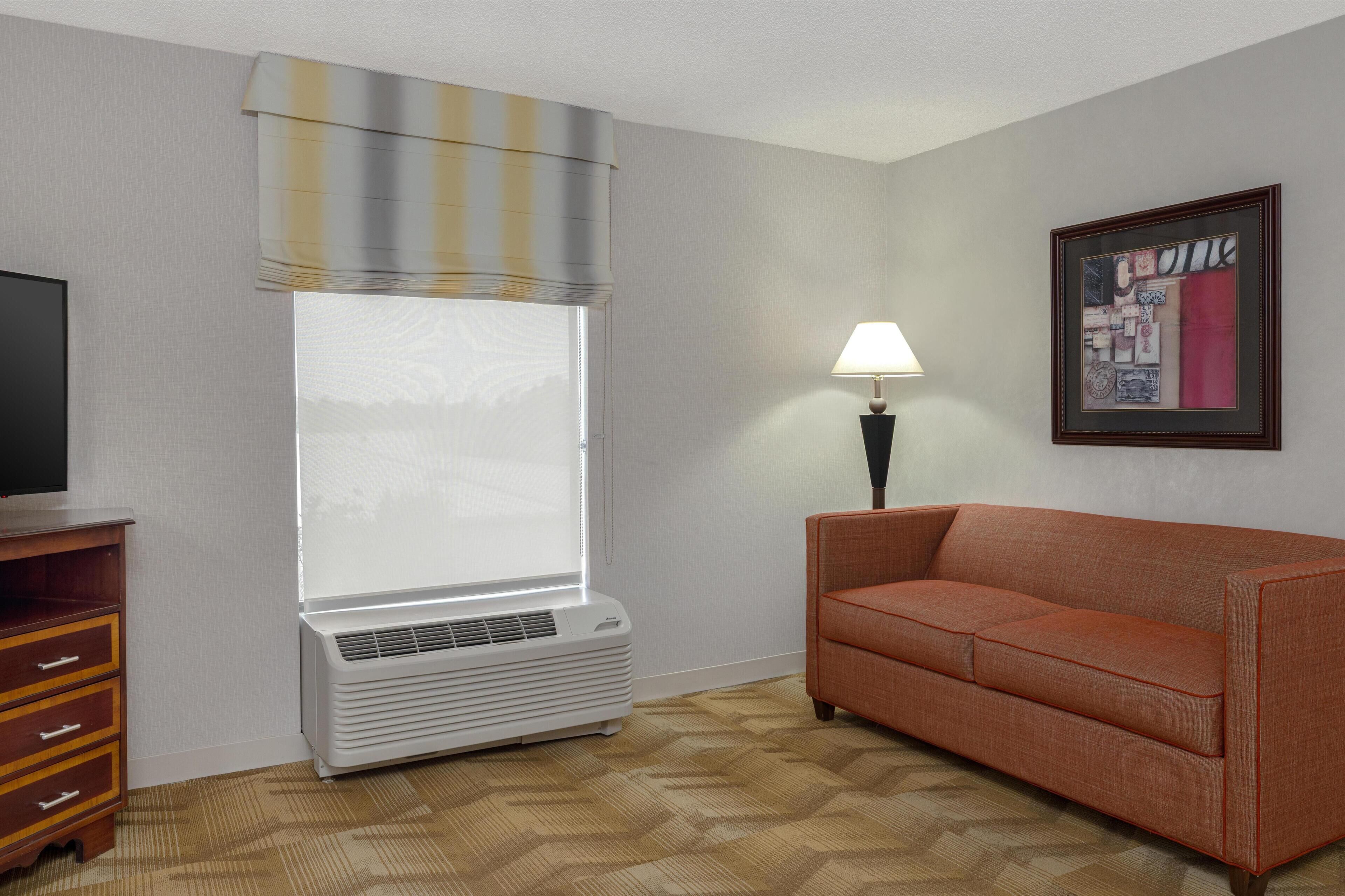 One king sofabed non smoking | Living area | 40-inch TV with cable channels