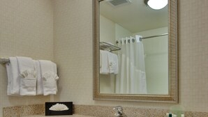 A bathroom with a sink, mirror, towel rack, and toilet paper. - Holiday Inn & Suites Bakersfield by IHG (Bakersfield)