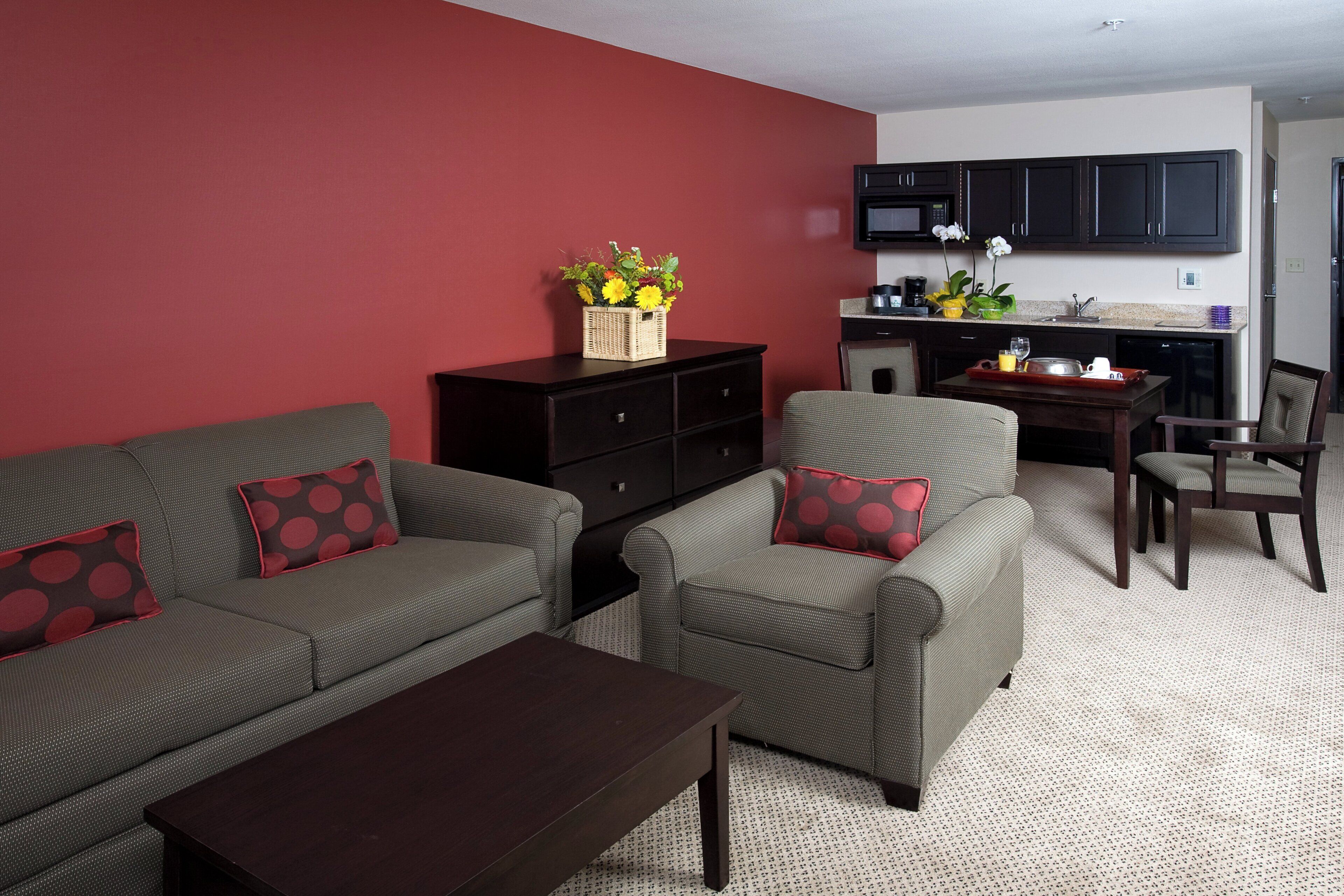 A living room with two sofas, a coffee table, and a kitchen area with a microwave.