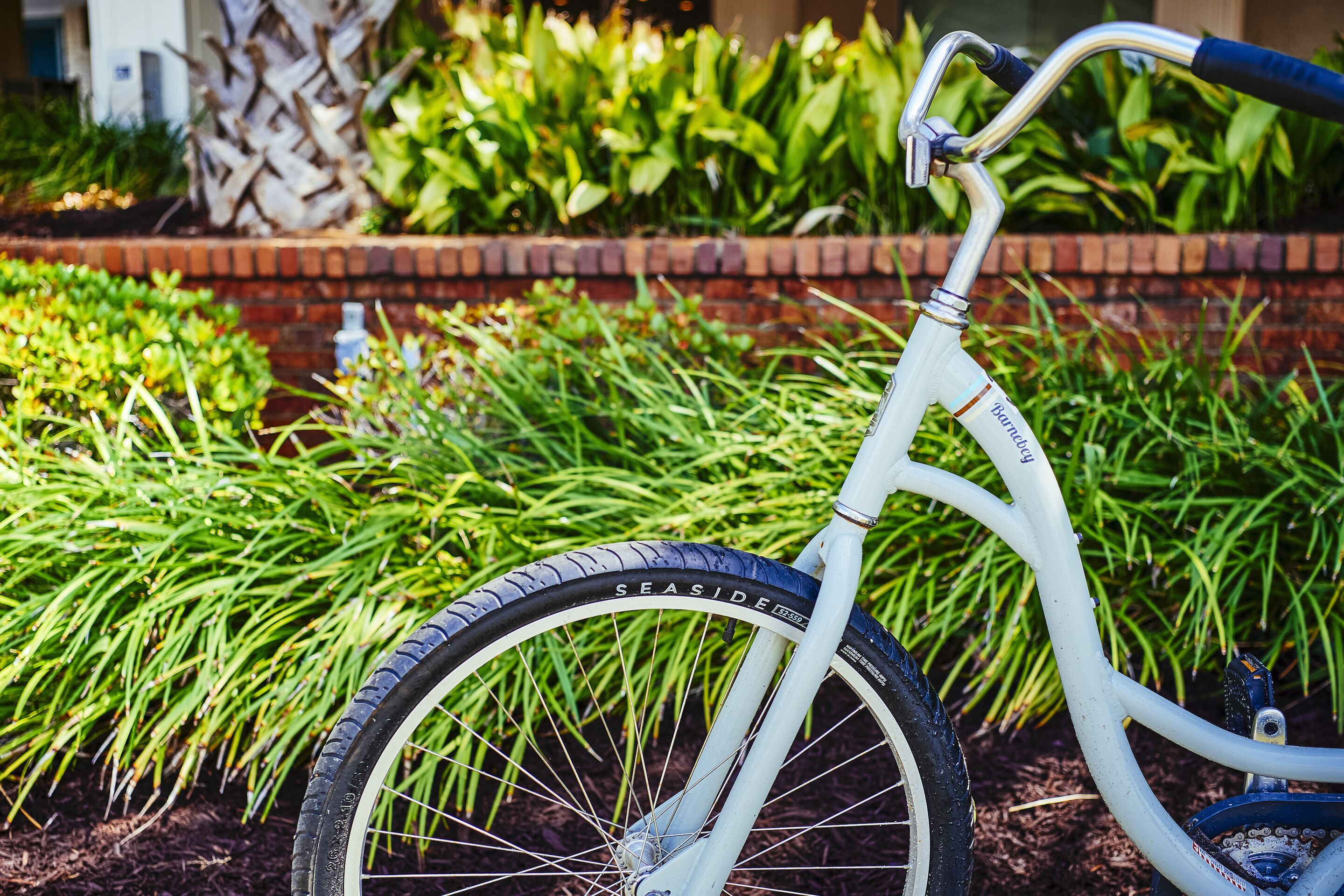 A bicycle with a white frame and black tires parked in front of a garden with green plants and a brick wall.