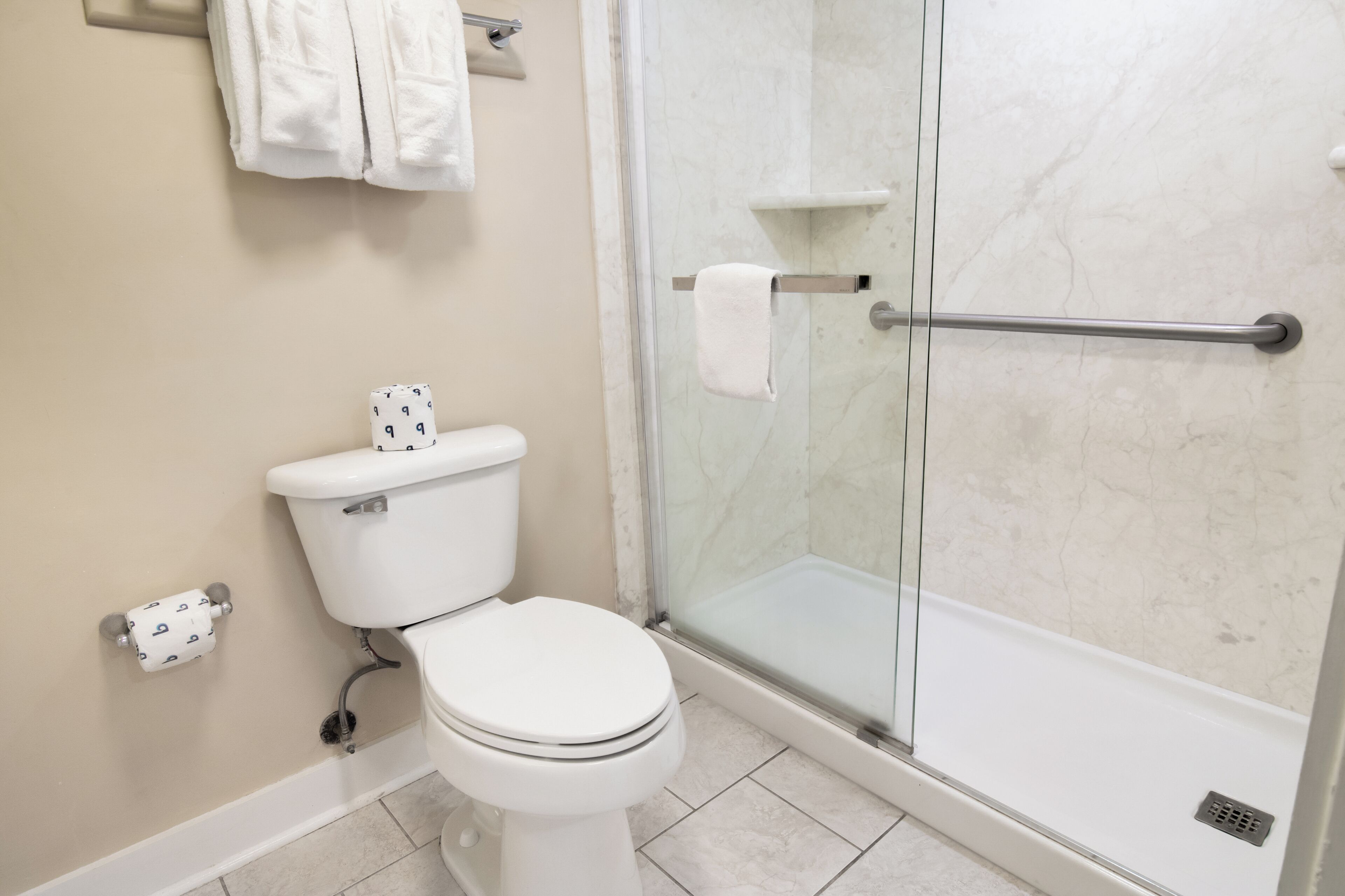 A bathroom with a toilet, a glass shower enclosure, and a towel rack.