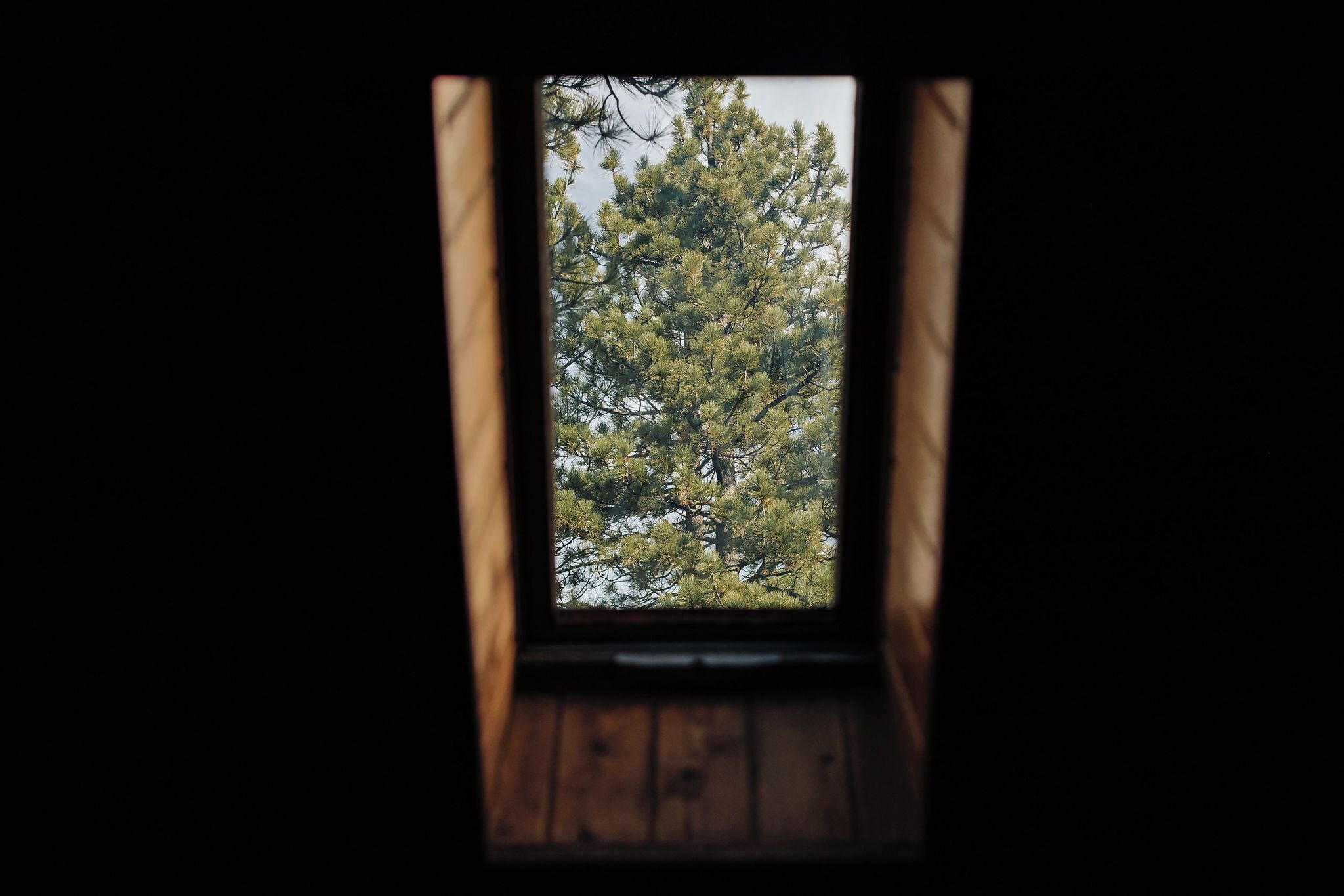 Ein Fenster mit Blick auf einen Baum.