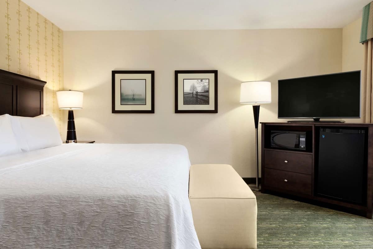 A hotel room with a bed, a television, a desk with a lamp, and two framed pictures on the wall.